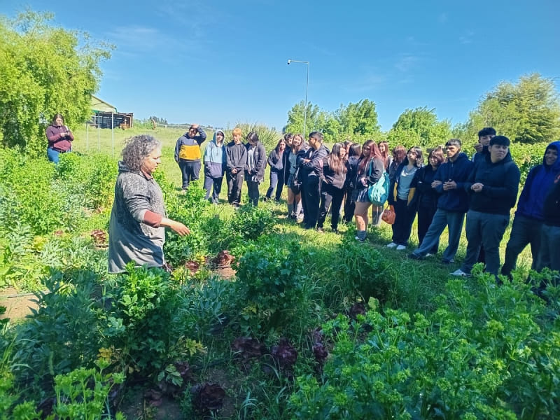 Exploración de la Agroecología en el Faro Agroecológico INIA Quilamapu